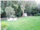 122 CAROLINE CHISHOLM DRIVE, Winston Hills NSW 2153