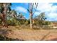 West Pennant Hills NSW 2125