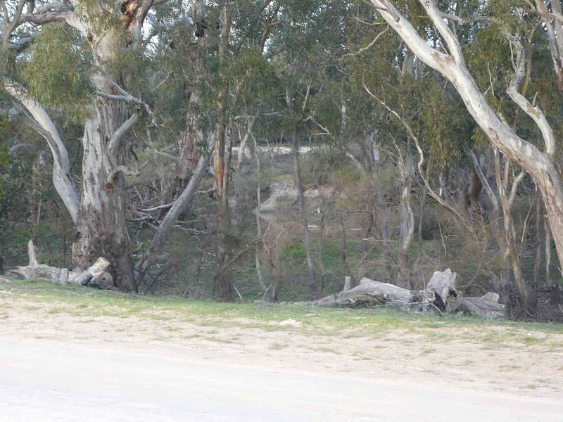 Dimboola VIC 3414