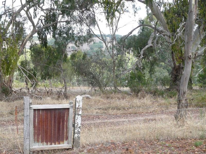 52 EDGARS RD, Harrow VIC 3317