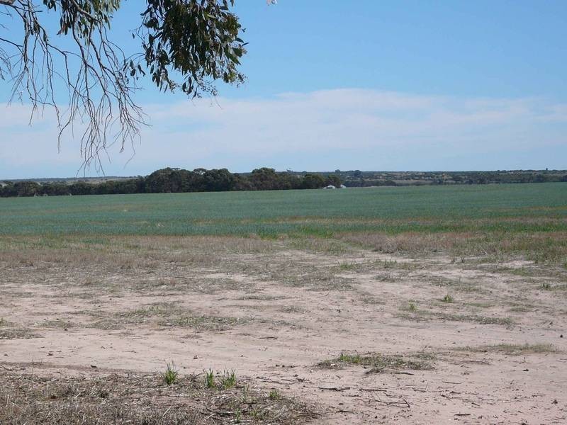 373 COOACK RD, Natimuk VIC 3409