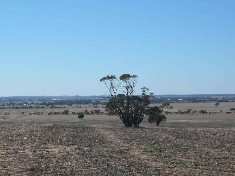 373 COOACK RD, Natimuk VIC 3409