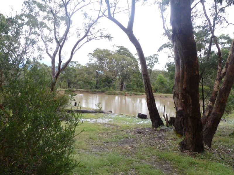 Roses Gap Road, Wartook VIC 3401
