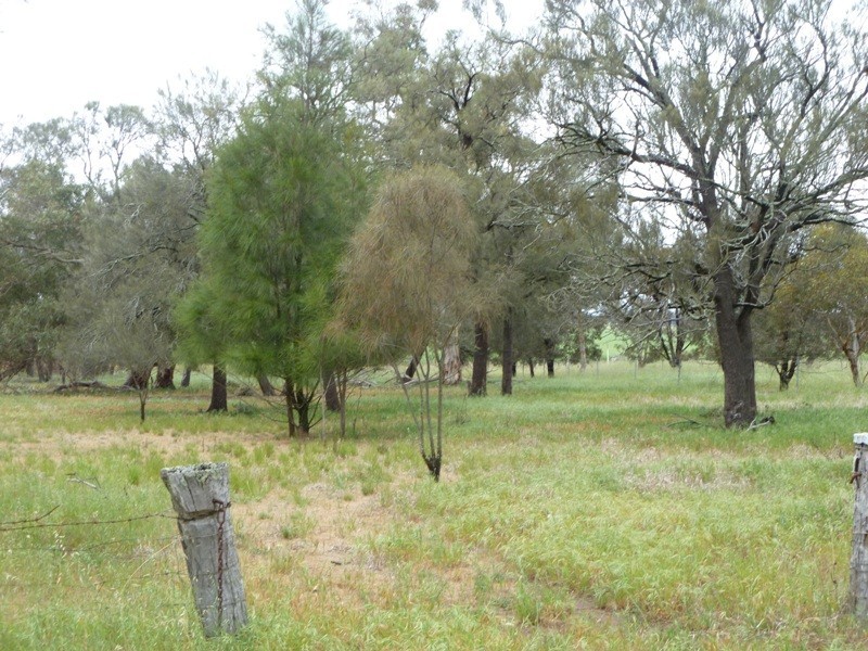 56 D Manns Road, Nhill VIC 3418