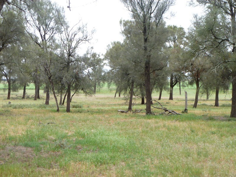 56 D Manns Road, Nhill VIC 3418