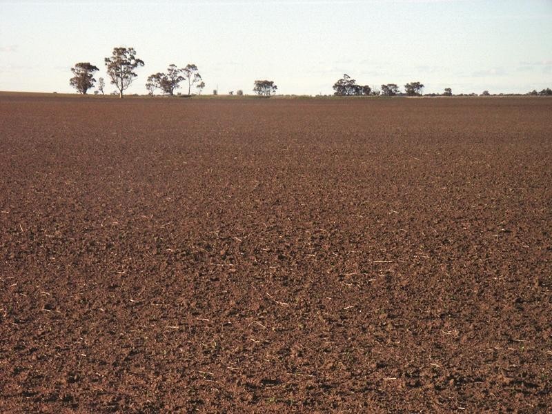 61 Nuske Road, Dimboola VIC 3414