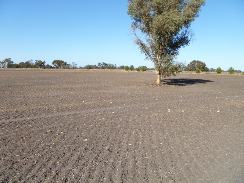 3261 Western Highway, Dimboola VIC 3414