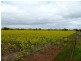 Peachs Flat Lane, Clear Lake VIC 3401