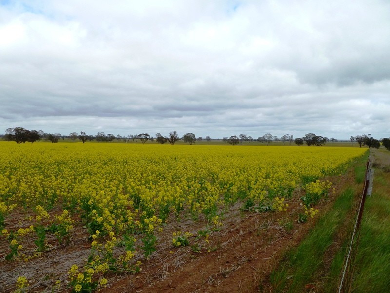 Peachs Flat Lane, Clear Lake VIC 3401