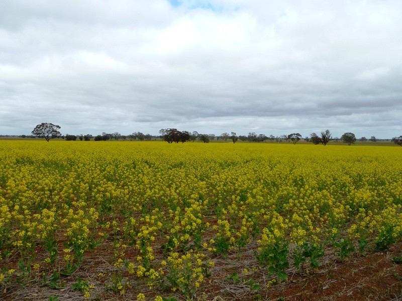 Peachs Flat Lane, Clear Lake VIC 3401