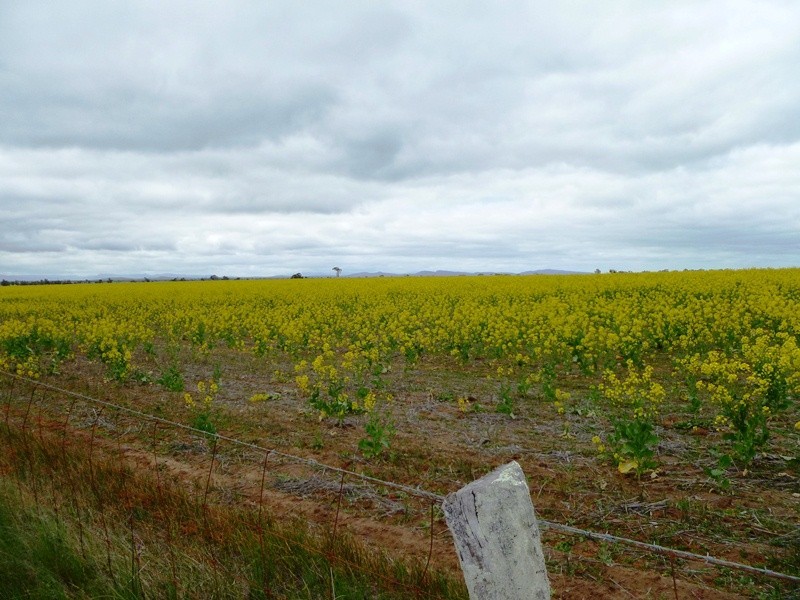 Peachs Flat Lane, Clear Lake VIC 3401