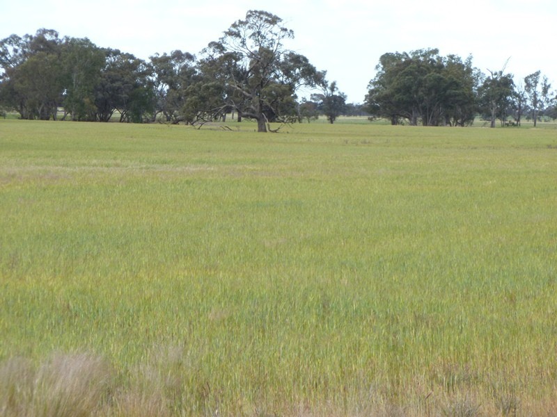 Collard Road, Dimboola VIC 3414