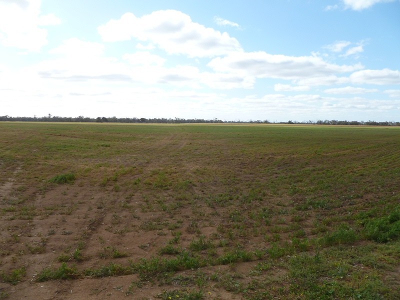 Collard Road, Dimboola VIC 3414