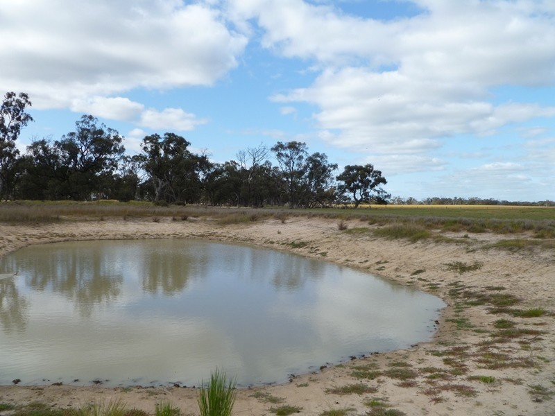 Collard Road, Dimboola VIC 3414