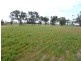 Collard Road, Dimboola VIC 3414