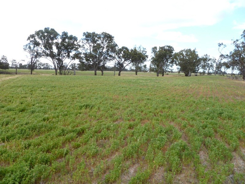 Collard Road, Dimboola VIC 3414
