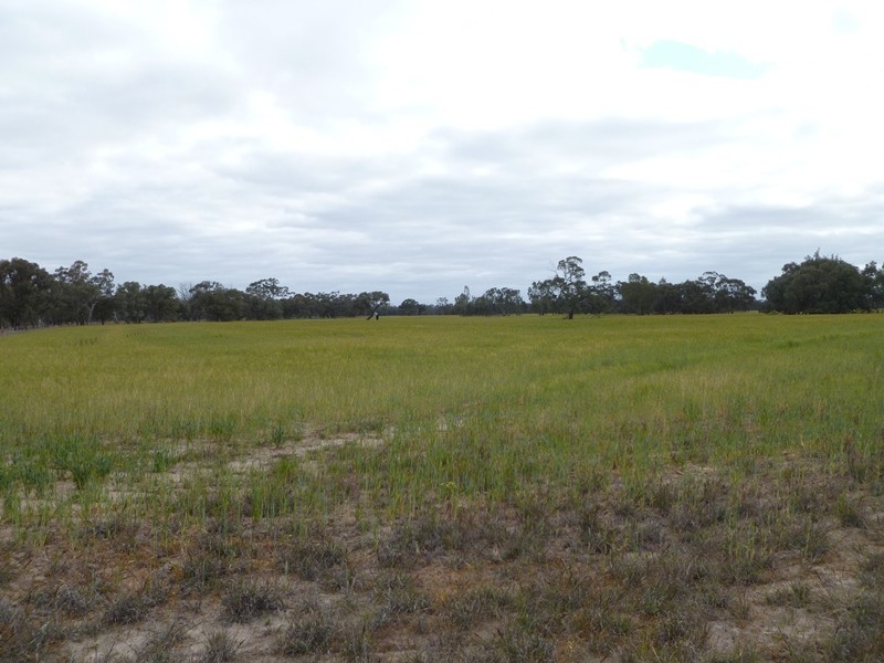 Collard Road, Dimboola VIC 3414
