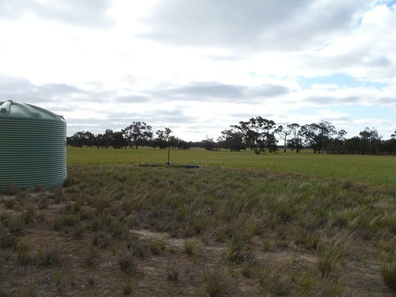 Collard Road, Dimboola VIC 3414