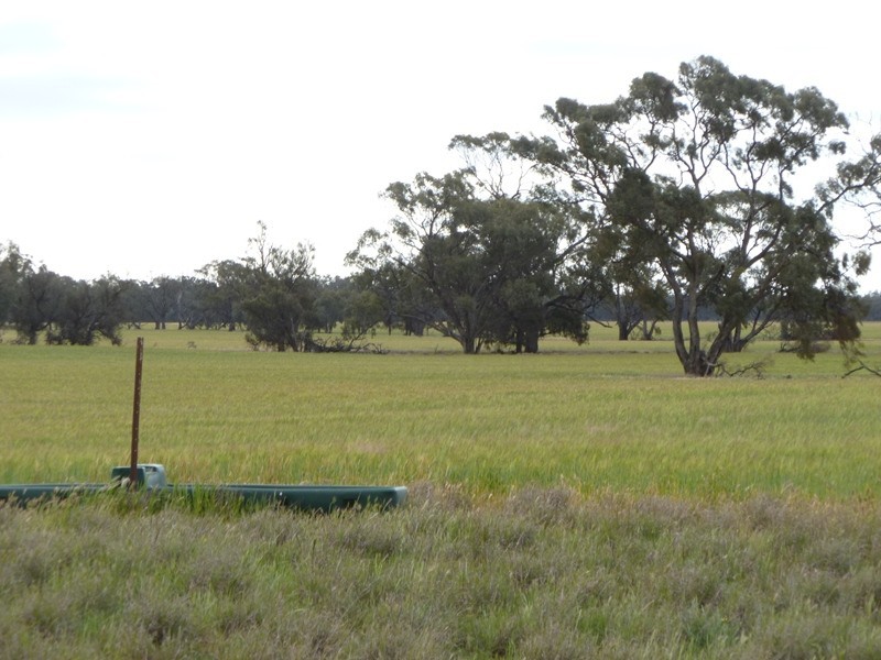 Collard Road, Dimboola VIC 3414