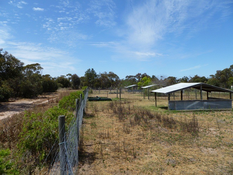 53 High Street, Dimboola VIC 3414