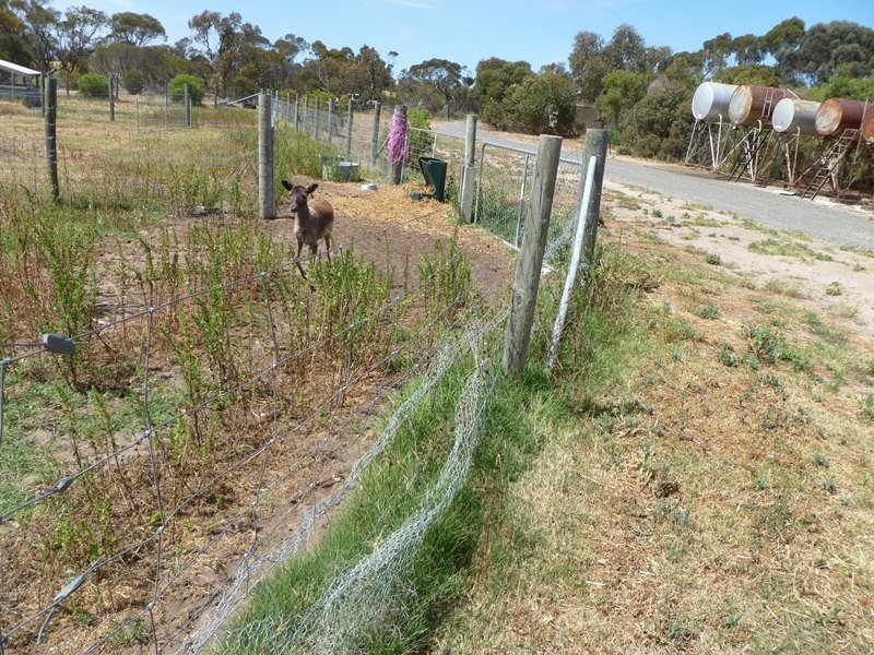 53 High Street, Dimboola VIC 3414