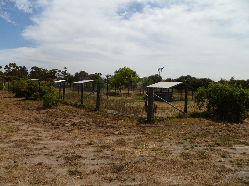 53 High Street, Dimboola VIC 3414