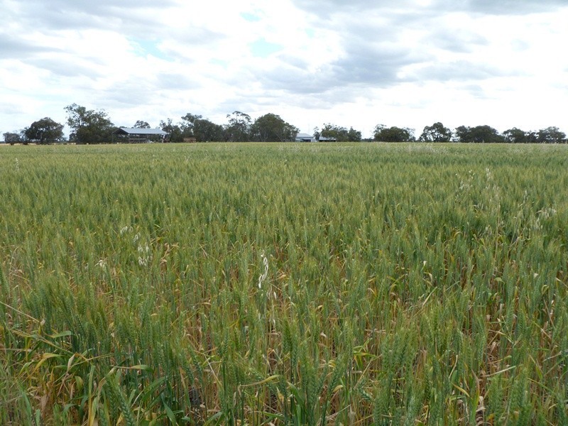 38 Tralee Lane, Longerenong VIC 3401