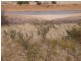 Valley View Road, Stawell VIC 3380