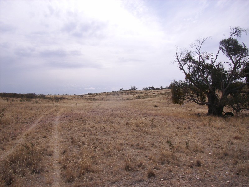 Valley View Road, Stawell VIC 3380