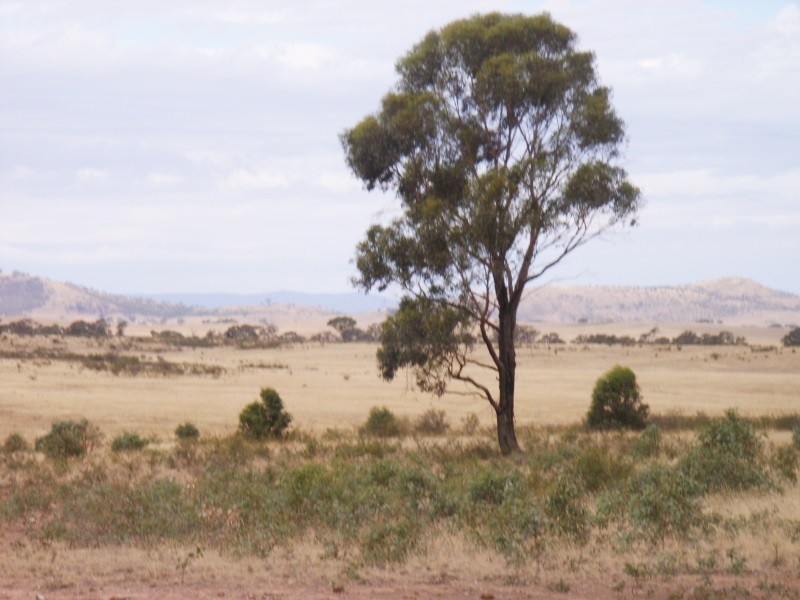 Valley View Road, Stawell VIC 3380