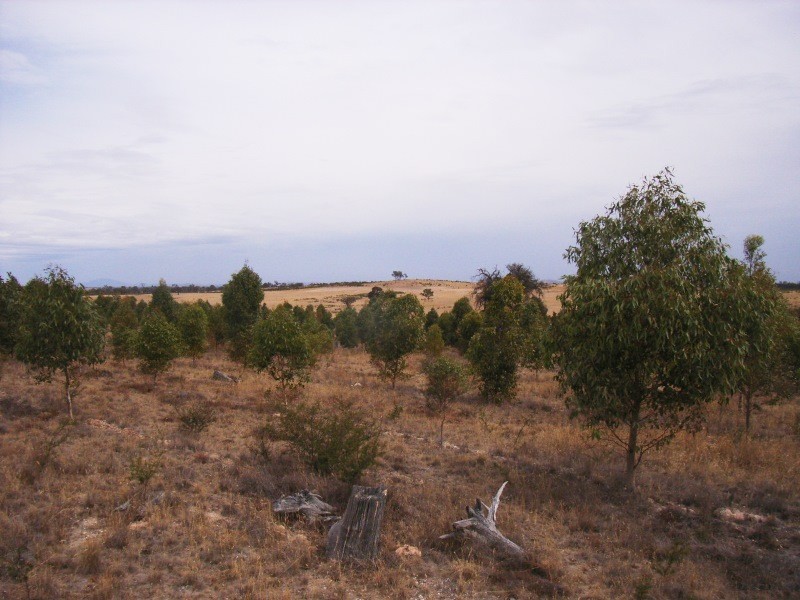 Valley View Road, Stawell VIC 3380