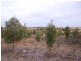 Valley View Road, Stawell VIC 3380