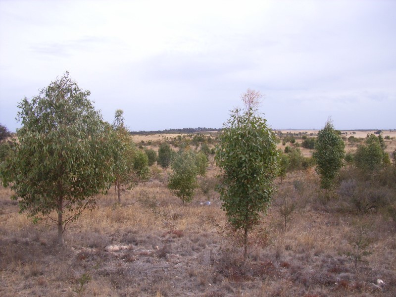 Valley View Road, Stawell VIC 3380