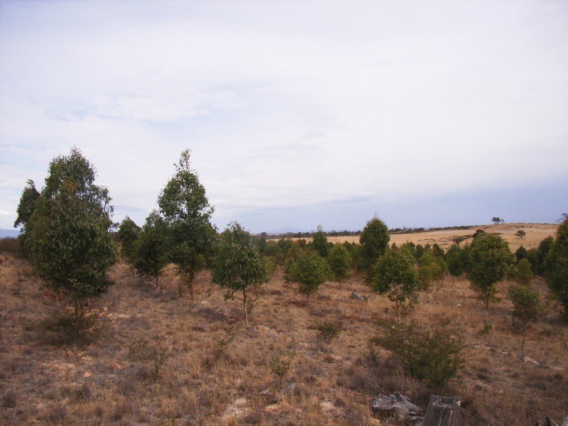 Valley View Road, Stawell VIC 3380