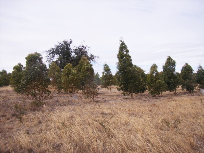Valley View Road, Stawell VIC 3380