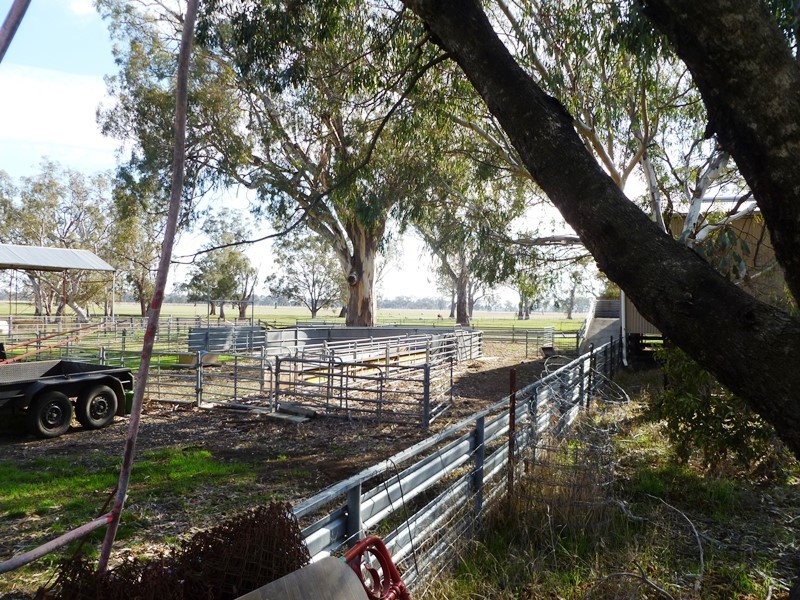 3186 Grahams Bridge Road, Brimpaen VIC 3401