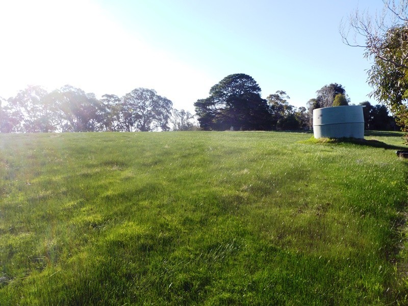 53 Birmingham Street, Harrow VIC 3317