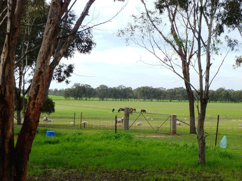 24 Brighton Drive, Dooen VIC 3401