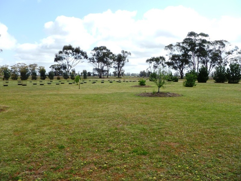 80 Liddle Lane, Dimboola VIC 3414