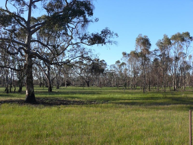 401 Fulbrooks Road, Dadswells Bridge VIC 3385