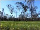 401 Fulbrooks Road, Dadswells Bridge VIC 3385