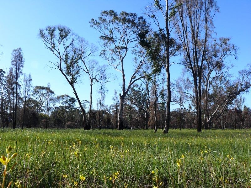 401 Fulbrooks Road, Dadswells Bridge VIC 3385