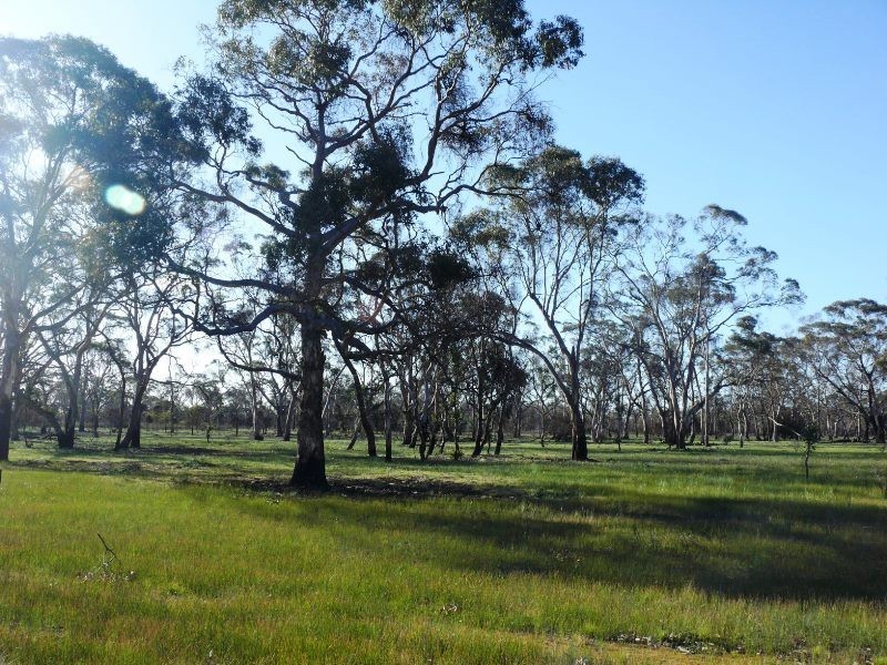 401 Fulbrooks Road, Dadswells Bridge VIC 3385