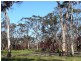 401 Fulbrooks Road, Dadswells Bridge VIC 3385