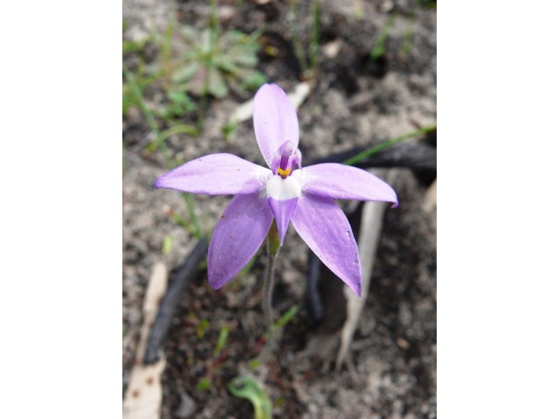 401 Fulbrooks Road, Dadswells Bridge VIC 3385