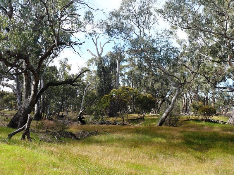 401 Fulbrooks Road, Dadswells Bridge VIC 3385