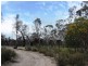 401 Fulbrooks Road, Dadswells Bridge VIC 3385