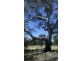 Collard Road, Dimboola VIC 3414