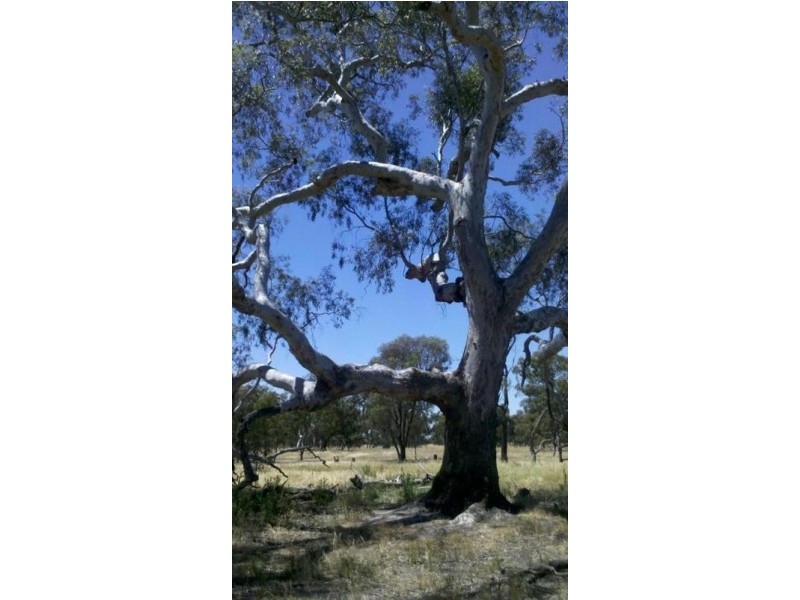 Collard Road, Dimboola VIC 3414