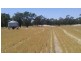 Collard Road, Dimboola VIC 3414